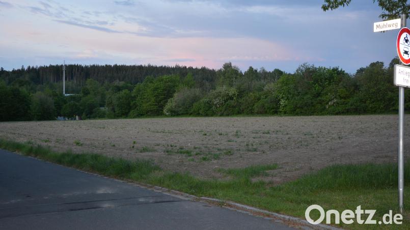 Bis zu acht Parzellen sollen im neuen Baugebiet „Am Mühlweg“ in Pechbrunn entstehen. Jetzt legte der Gemeinderat die Grundstückspreise fest. Bild: jr