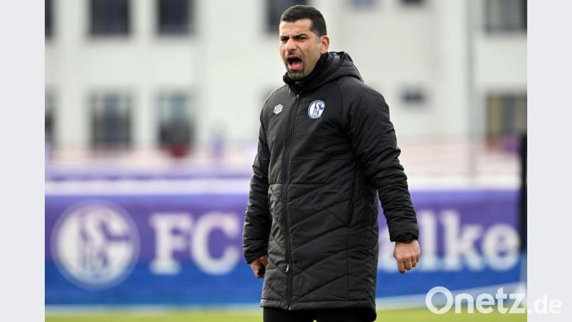 Der FC Schalke 04 trennt sich von Trainer Dimitrios Grammozis. Bild: Federico Gambarini/dpa
