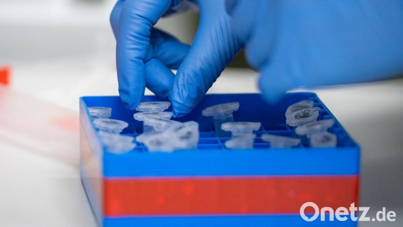 In der Stadt Amberg gibt es einen neuen Todesfall in Zusammenhang mit dem Coronavirus. Bild: Christophe Gateau/dpa