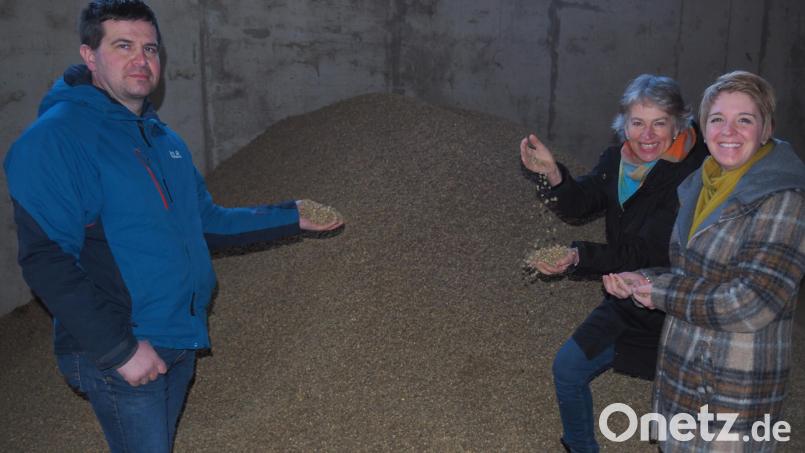 Strohpellets gehören zur Produktpalette der Trocknungsgenossenschaft Tirschenreuth, die Vorstandsvorsitzender Alois Riedl den Grünen-Abgeordneten Anna Schwamberger und Gisela Sengl (von rechts) zeigen durfte. Riedl verdeutlichte den Landtags-Politikerinnen aber, dass die hohen Energiepreise wohl vorerst zu einem Produktionsstopp führen würden. Bild: ws