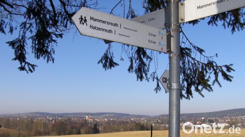 Der Aussichtsturm in der historischen Kloster- und Teichlandschaft wird zuerst einmal zurückgestellt. Alternativ könnten nun Aussichtspunkte an besonderes markanten Punkten errichtet werden, etwa am Waldrand an der Mammersreuther Straße (Bild). Bild: pz