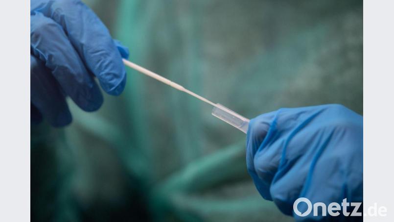 Ein Mitarbeiter hält ein Abstrichstäbchen für die Durchführung eines Corona-Tests in der Hand. Bild: Sebastian Gollnow/dpa/Symbolbild