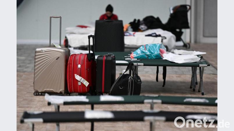 Notbetten stehen in einer Frankfurter Sporthalle für ukrainische Kriegsflüchtlinge bereit. Bild: Arne Dedert/dpa