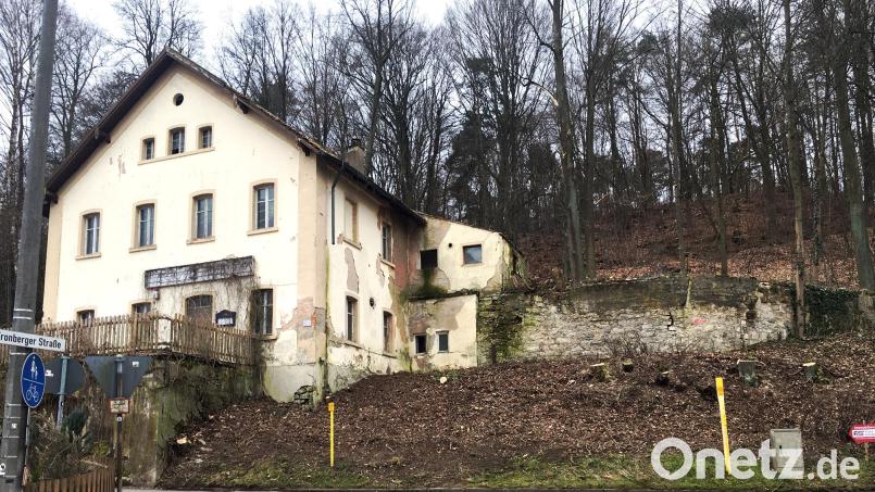 Die Kellerwirtschaft am Holzberg ist von der Fronberger Straße aus wieder besser zu sehen. Das bleibt nicht lange so, das Fällen der Bäume ist der Vorbote für den Abriss. Bild: ihl
