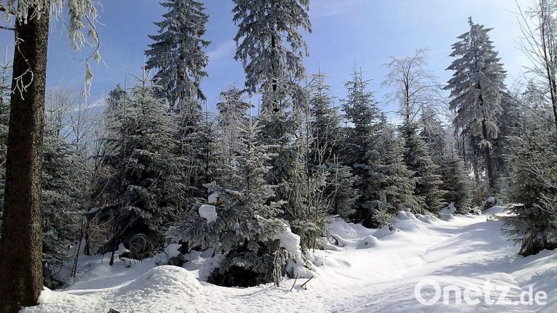 Winterwunderland: Viel Schnee gab es im Wald rund um die Silberhütte. Doch nicht in der ganzen Oberpfalz war der Winter so weiß wie hier. Bild: Rainer Christoph