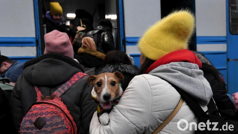 Flüchtlinge aus der Ukraine werden auch in Plößberges Partnergemeinde Goczalkowice-Zdrójin aufgenommen. Die Marktgemeinde will hier Unterstützung bieten. Symbolbild: Carol Guzy/ZUMA Press Wire/dpa