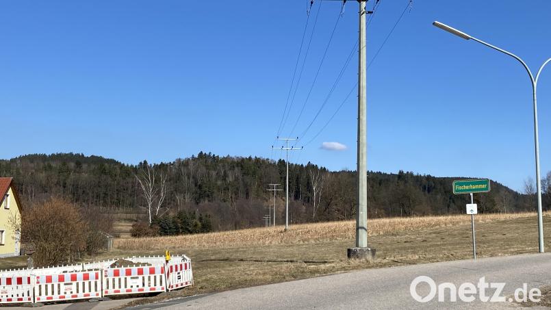 Im Ortsteil Fischerhammer soll das neue Storchennest platziert werden. Bild: Josef Glas