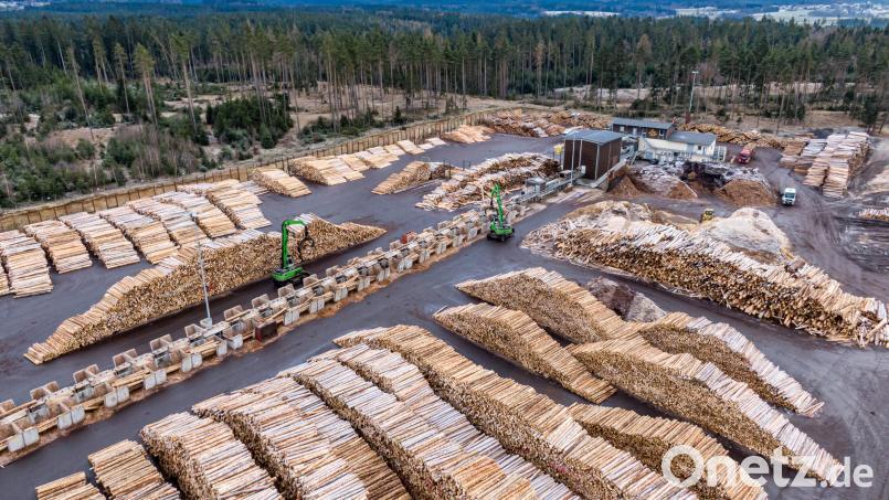 Holzstämme liegen auf dem Gelände des Sägewerks der Ziegler Group in Plößberg. Bald wird es auch ein Werk in Naila (Oberfranken) geben. Bild: Armin Weigel/dpa