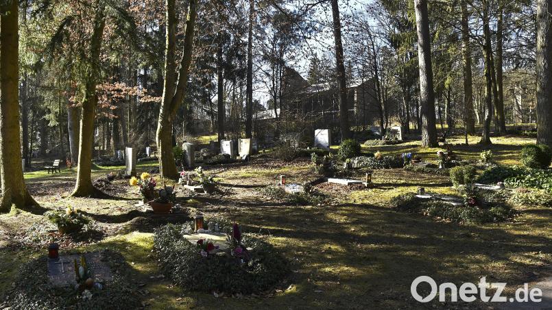 Schatten, Licht, Natur-Idylle: Am Waldfriedhof gibt es laut Friedhofsamt 1713 Gräber. Davon sind circa 500 Urnen in Erdgräbern oder in Urnenstelen. Bild: Petra Hartl