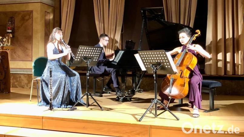 Das &quot;Trio Arinto&quot; begeisterte die Gäste im Schlosssaal unter anderem mit dem &quot;Gassenhauer-Trio&quot; von Ludwig van Beethoven. Bild: wel