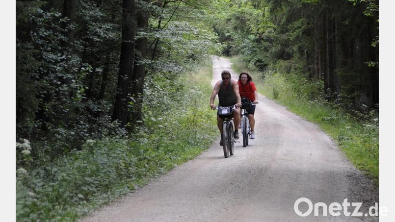 Der Pleysteiner Stadtrat Thomas Parton sieht es als kritisch an, im Wald noch mehr Radwege zu bauen. Symbolbild: Petra Hartl