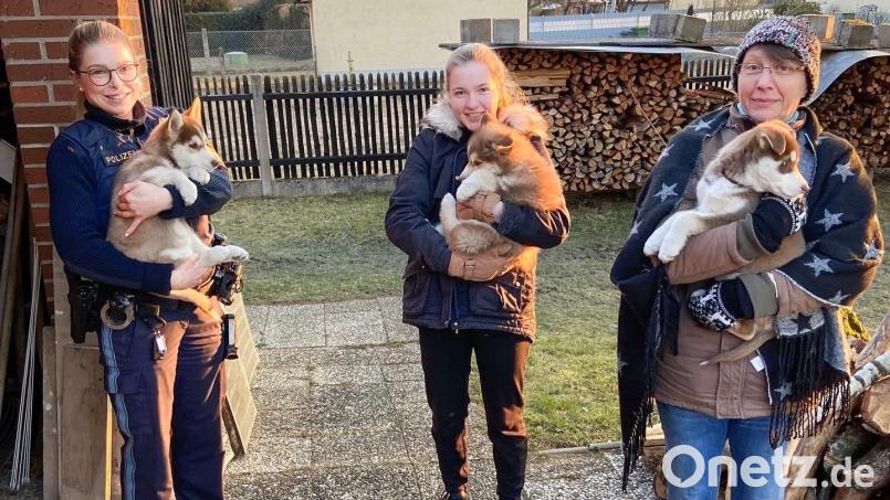 Ivonne Nöff und Jaqueline Schinabeck (von rechts) entdeckten die fremden Hundewelpen in ihrem Garten. Polizeibeamtin Vanessa May half dabei, sie wieder zu ihrem "Herrchen" zu bringen. Bild: Polizei Schwandorf/exb