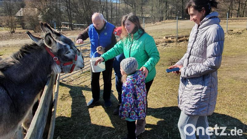 Täglich macht Nicolas Cenway mit den beiden Familien aus der Ukraine einen Rundgang durchs Dorf, um verschiedene Tiere zu streicheln und zu füttern. Besonders schön ist es bei den Eseln in der Nachbarschaft, die bereitwillig ihre Köpfe über den Zaun strecken. Bild: Lowak