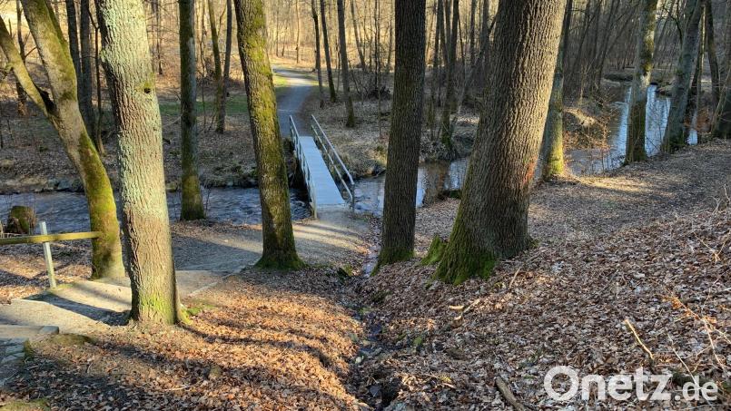 Neben dieser Brücke über der Floß sollten zwei oberirdische Rohre Fernwärme vom Biomasseheizwerk an der Bildstraße bis zur Stadthalle transportieren. Um die Leitung vorher zu vergraben, müssten einige Bäume im Stadtwald gerodet werden. Der Stadtrat legt gegen diese Pläne sein Veto ein. Bild: Gabi Schönberger