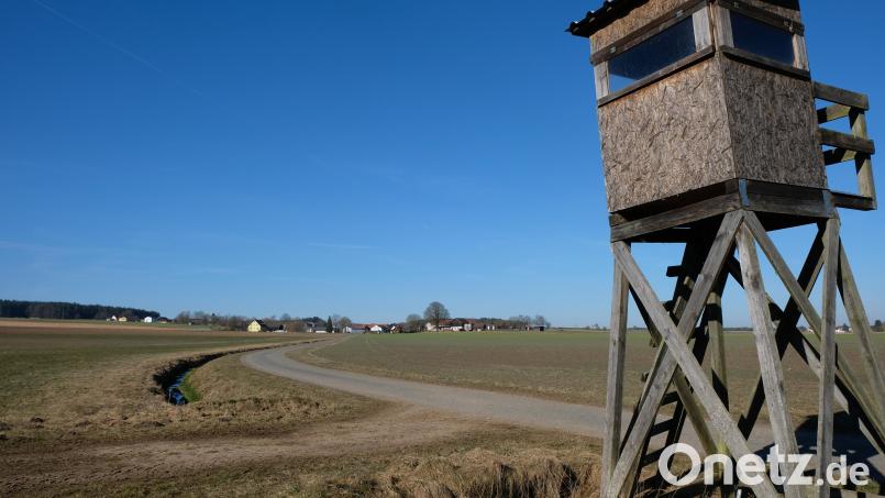 Mit staatlichen Spitzenfördersätzen von 90 Prozent saniert die Gemeinde, wie zum Beispiel bei Höfen, ramponierte Flurstraßen. Bild: do