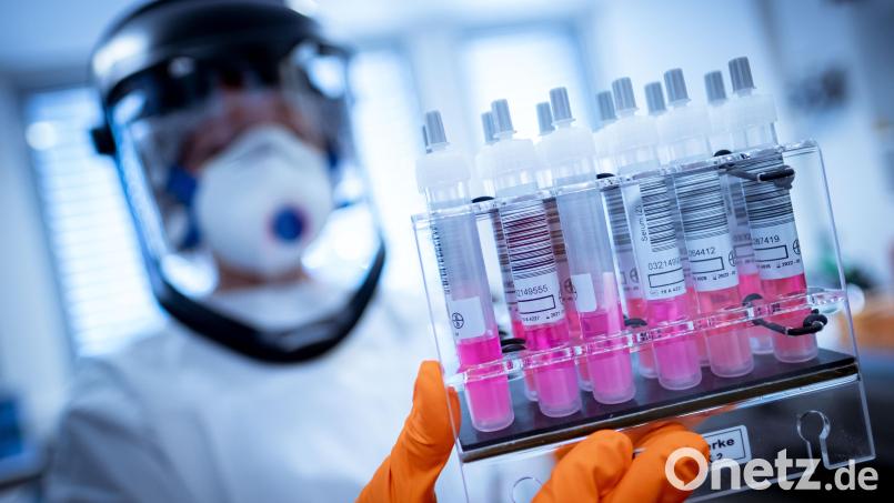 Eine wissenschaftliche Mitarbeiterin hält Coronavirus-Testproben. Symbolbild: Peter Steffen