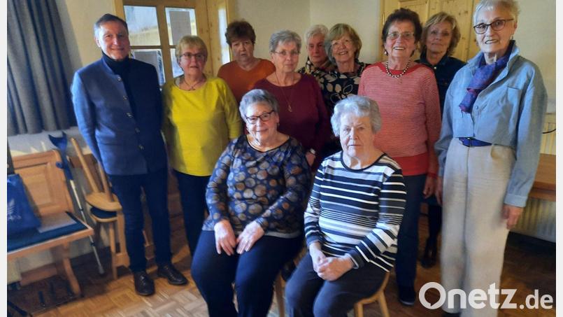 Elfriede Ackermann (sitzend, von links) und Elisabeth Völkl sowie (stehend, von links) Johann Neugirg, Edeltraud Frank, Christa Böhm, Inge Käß, Roswitha Bergner, Bärbel Schmidt, Rosi Vielgut, Bernadette Rüger und Rosmarie Würth nach den Neuwahlen. Bild: Seniorenrunde Frohsinn/exb