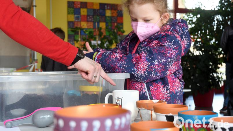 Viel Rahmenprogramm gab es auch heuer nicht bei der Einschreibung an den Grundschulen in Weiden. An der Albert-Schweitzer-Grundschule durfte die kleine Zlata aber ein paar Sonnenblumensamen pflanzen. Bild: Gabi Schönberger