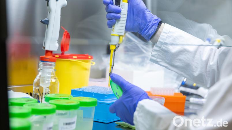 In einem Labor werden Coronaproben analysiert. Bild: Daniel Karmann