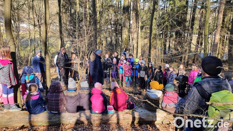 Die Klassen 3 a, 3 b und die achte Klassen verbringen mit Förster Andreas Arnold einen Vormittag im Schulwald hinter dem Freibad, um 98 neue Bäume zu pflanzen. Bild: Lowak