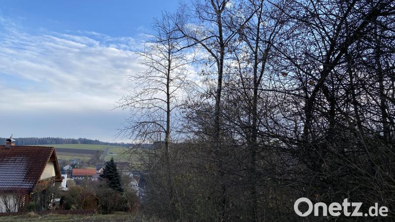 Um die Hecke zum Fernsehturm hinauf ging es wiederholt schon im Gemeinderat. Der Nachbar Ernst Herrmann wehrt sich nun sehr deutlich gegen den Vorwurf, es seien Bäume gefällt worden, nur weil diese ihm nicht gefallen hätten. Archivbild: Eichl