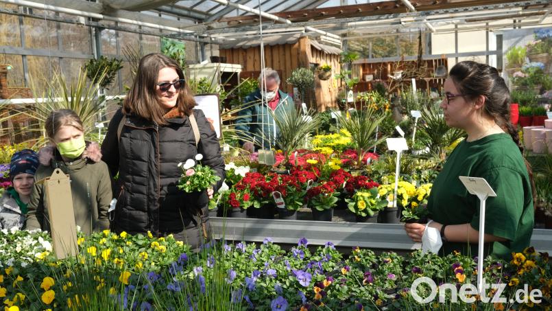 Ausstellung Bild: Hirsch