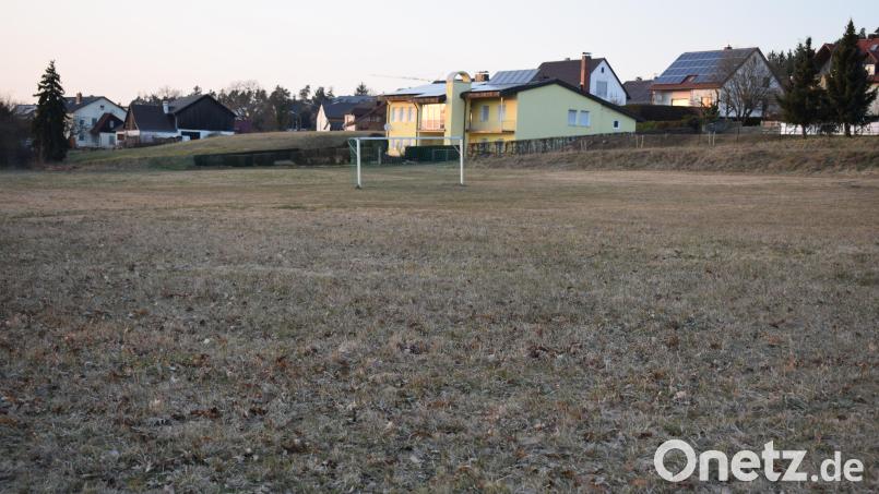 Das neue Baugebiet &quot;Traunricht Südhang&quot; kommt nicht bei allen gut an. Besonders der Erhalt des Bolz- und Spielplatzes ist das große Anliegen. Bild: bnr