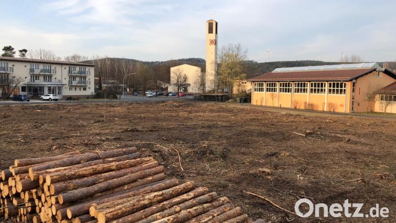 Neben Seniorenheim, Kirche und Schulturnhalle soll sie in Zukunft stehen: Für die geplante Turnhalle wurde Platz gemacht. Das kleine Waldstück musste weichen. Bild: mis