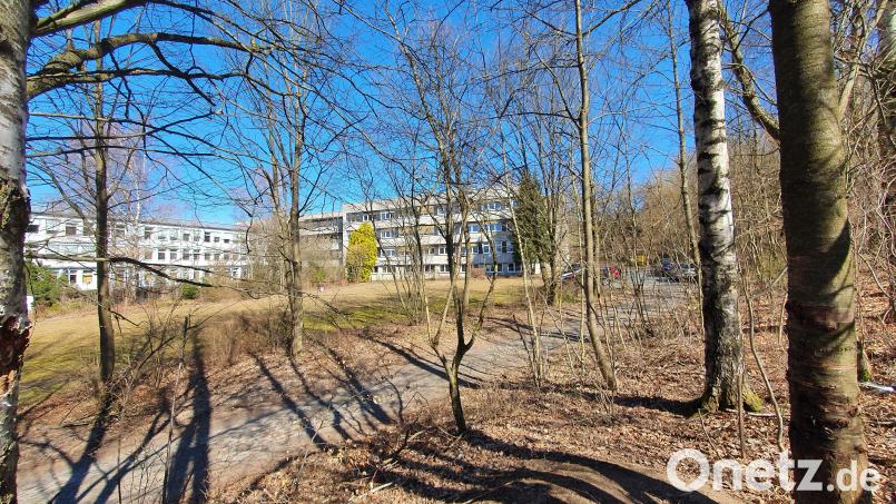 Auf dem Gelände hinter dem ehemaligen Krankenhaus in Neustadt/WN sollen 45 Wohnungen entstehen. Die Anwohner befürchten zu hohe Gebäude und zu viel Verkehr. Bild: Lowak