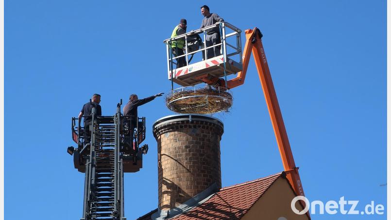 Mit Unterstützung eines Krans und der Drehleiter der US-Feuerwehr aus dem Südlager wird das neue, komfortable Storchennest auf dem Turm des ehemaligen Malzhauses angebracht. Nun müssen die Störche nur noch davon Besitz ergreifen. Bild: rha