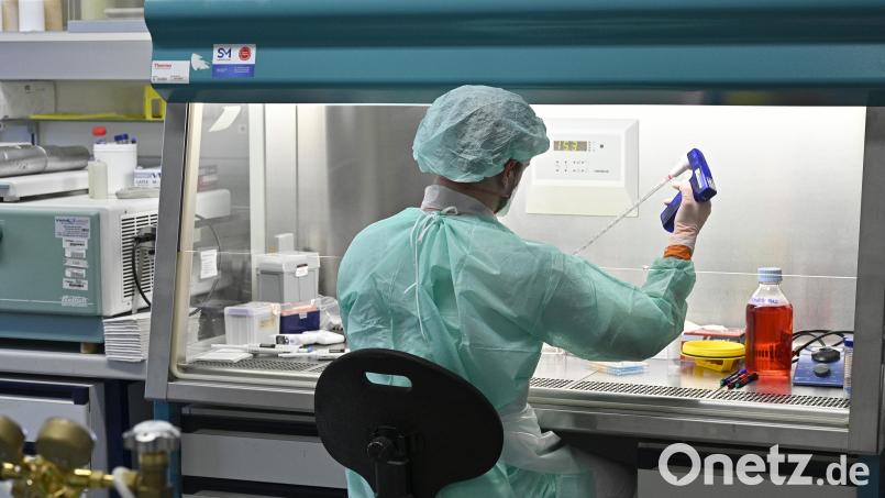 Im Institut für Hygiene und Angewandte Immunologie der Medizinischen Universität Wien führt ein Mitarbeiter Laboruntersuchungen zur Abklärung des Coronavirus durch. Symbolbild: Hans Punz/APA/dpa