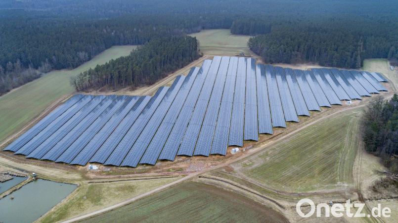 Am Verbindungsweg zwischen Oberschwaig und Hahnbach ist seit Februar die 8,5 Hektar große PV-Anlage in Betrieb. 27 000 Module produzieren so viel Strom, dass 4000 Familien damit versorgt werden könnten. Münch Energie betreibt die Anlage – und liefert den Strom über ein Kabel an die Firma Kurz. Bild: Thilo Hierstetter