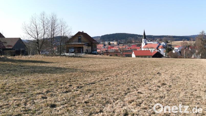 Auf der Wiese bei den Häusern im Baugebiet „Am Osterbrunnen“ in Schönsee hat der Stadtrat eine Erweiterung um sieben Parzellen beschlossen. Bild: Portner