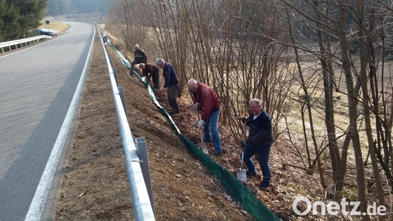 Markus Stascheweski, Manfred Wiedermann, Kurt Krebs, Herbert Kraus und Gerhard Kirschner (von links) beim Anbringen des Amphibienschutzzauns. Bild: Cordula Krebs/exb