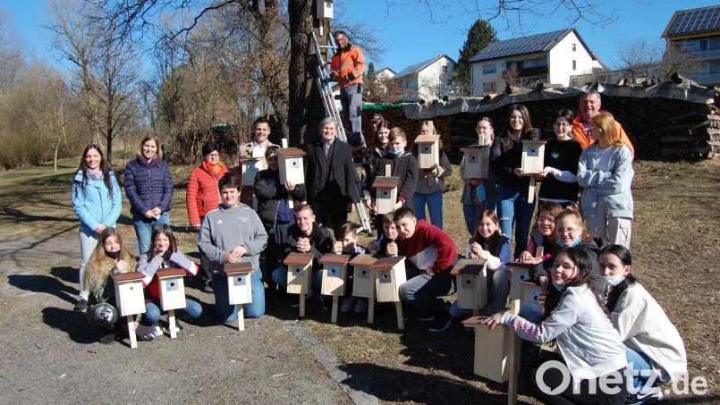 Schüler der Doktor-Eisenbarth-Mittelschule bauten im Werkunterricht 20 Nistkästen und hängten sie dann im Stadtgebiet auf. Bild: Georg Lang