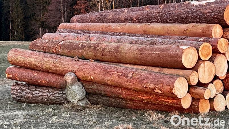 Das Feldkreuz bei Aich ächzt unter dem Gewicht der Holzstämme. Ein Spaziergänger sieht darin die Misshandlung eines Kulturguts der Oberpfalz. Bild: exb/Leserfoto