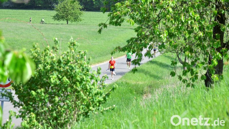 Der Landkreislauf Amberg-Sulzbach verlangt von den Sportlern auch heuer wieder Höchstleistungen. Archivbild: Hubert Ziegler