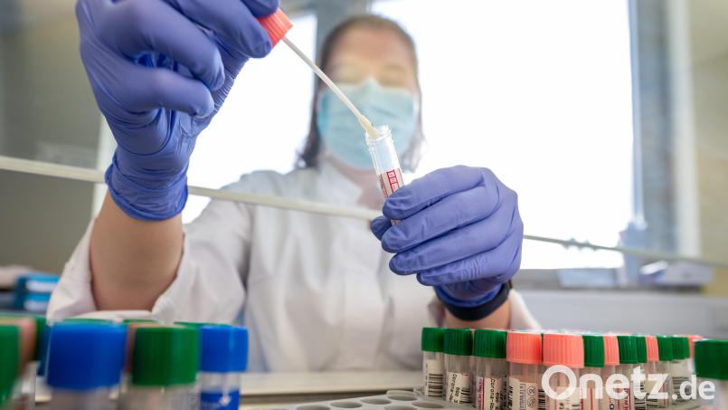 Eine Labormitarbeiterin wertet an einer Sterilbank eine Kassette mit Corona-Abstrichen zum Virusnachweis unter Verwendung der PCR-Methode aus. Im Landkreis Tirschenreuth gab es innerhalb einer Woche fast 1800 positive Corona-Testergebnisse. Symbolbild: Sebastian Kahnert/dpa