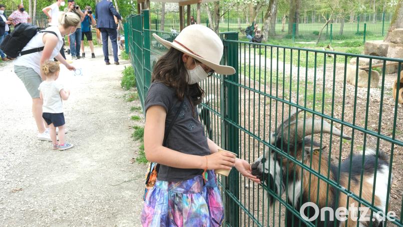 Der Wild- und Freizeitpark Höllohe ist beliebtes Ausflugsziel. Für neue Ställe und weitere Infrastruktur hat der Bauausschuss des Kreistags Aufträge von rund 126000 Euro vergeben. Archivbild: Hirsch
