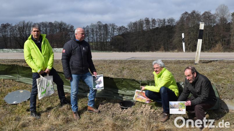 Vom ordnungsgemäßen Aufbau der Amphibienschutzzäune überzeugten sich (von links) Reinhard Scheuerlein (BN-Regionalreferent Oberpfalz), Gerhard List (Zaunbetreuer), Richard Mergner (BN-Landesvorsitzender) und Klaus Pöhler (Vorsitzender BN-Kreisgruppe Schwandorf). Bild: bnr