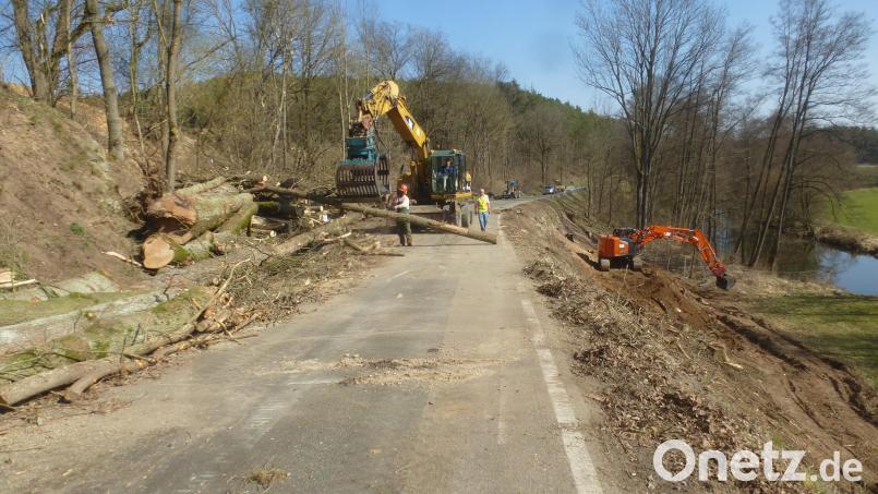 Nach der Rodung der Bäume laufen die Arbeiten auf der Staatsstraße bei Schwarzhofen Bild: mad