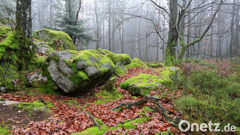 Die Felsenlandschaften verleihen dem Steinwald eine ganz besondere Atmosphäre. Das Bild entstand ganz in Nähe des Felsmassivs Zipfeltanne. Bild: sds