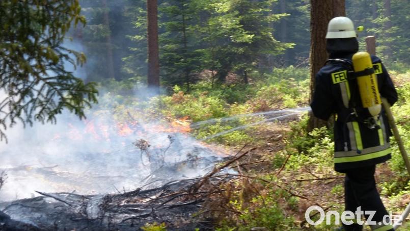 Mit der anhaltenden Trockenheit steigt auch die Wahrscheinlichkeit für einen Waldbrand. Wie groß die Gefahr ist, hängt laut Kreisbrandrat Christian Demleitner jetzt vor allem davon ab, wann und wie viel Niederschläge es in den nächsten Wochen gibt. Symbolbild: Hans Meißner/exb