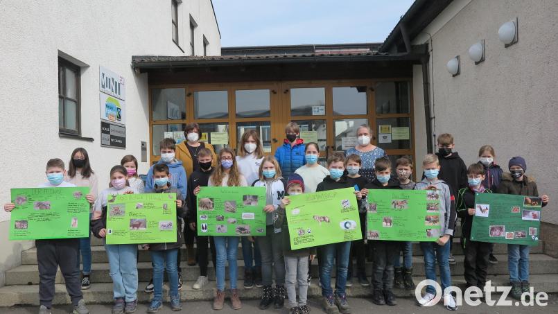 Beim fächerübergreifenden Projekt Deutsch und Biologie erstellten die Fünftklässler sechs Plakate zu Eichhörnchen, Feldhase, Maulwurf, Hirsch, Wildschwein und Wolf. Die Lehrkräfte Gudrun Beyser und Ines Schedl (hinten von links) standen ihnen dabei mit Rat und Tat zur Seite. Bild: jzk