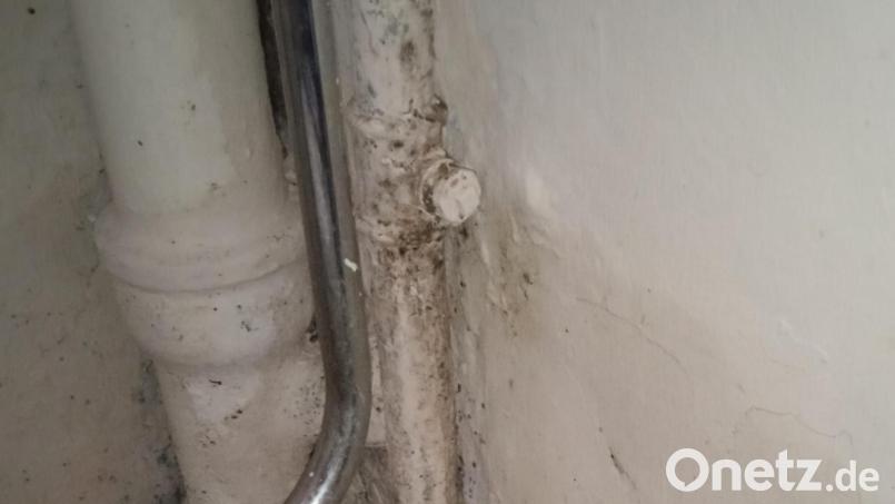 Hinter der Toilette der Notwohnung – und nicht nur dort – kroch die in den Wänden sichtbare Feuchtigkeit in Form von Schimmel aus den Wänden. Bild: exb