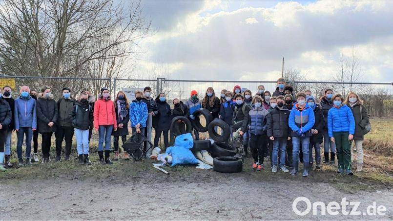 Die 7b und 7c des Max-Reger-Gymnasiums sammelten Müll in der Köferinger Heide. Bild: Johannes Birner, Stadt Amberg/exb