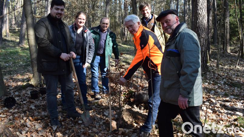 Auf Einladung von MdB Tina Winkelmann (Zweite von links) pflanzten (von links) MdB Niklas Wagener (Bündnis90/Die Grünen), Johann Kurzwart, Präsident Georg Schirmbeck (DFWR), Simon Tangerding (SDW) und Forstdirektor Alwin Kleber eine Rotbuche (Baum des Jahres 2022). Bild: bnr
