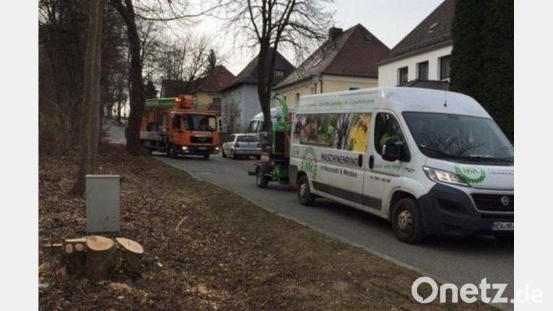 Diese Abholzungsaktion sorgte am Dienstagmorgen auf dem Felix in Neustadt für Aufregung. Bild: Roth/exb