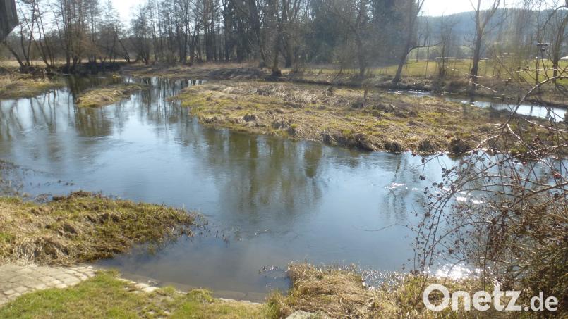 Im Zuge des Brückenneubaus in Schwarzhofen soll die Schwarzach wieder ökologisch umgebaut und aufgewertet werden. Bild: mad