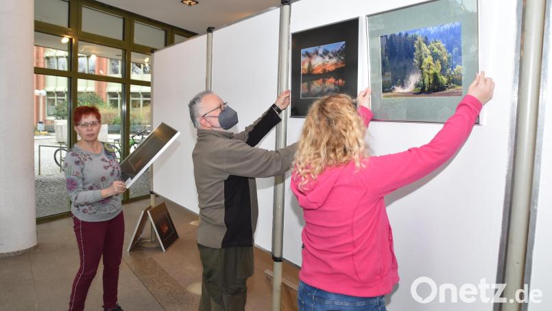 Die &quot;Freien Fotografen&quot; mit Präsidentin Zaneta Weidner an der Spitze (rechts) bauen ihre Jubiläumsausstellung auf, die bis Ende April im Neuen Rathaus zu sehen ist. Bild: hcz